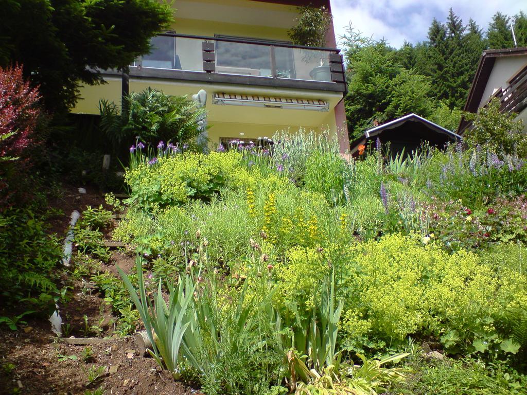 Haus Wiesental Kleines Wiesental Exterior photo